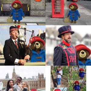 Miś Paddington charytatywnie